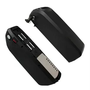 Ebike battery 48V