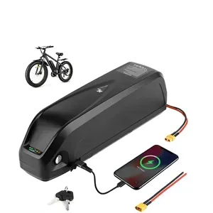 Ebike battery 48V