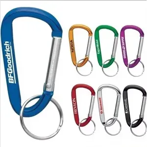 Carabiner keychain